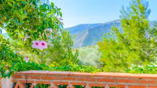 Cortijo El Olivar Órgiva by Ruralidays - 4