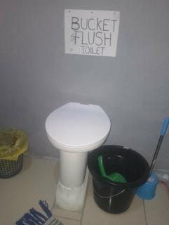 Two crazy monkeys - 8