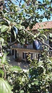 Agriturismo Tenuta San Giuseppe - Cossano Belbo - 5
