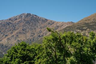 McBride Cottage - Modern Victorian Luxury - 8