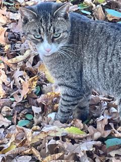 Equilibrium Villa Relais Plitvička jezera - 5