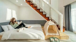 Gapyeong Daengdaengi Dog Pension Silver - 7