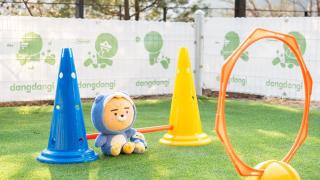 Gapyeong Daengdaengi Dog Pension Silver - 3