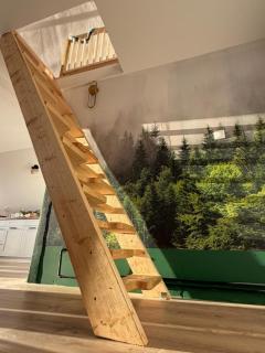 Wild Hill Apuseni - Gârda de Sus - 3