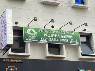 Borneo Forest Hotel - 2