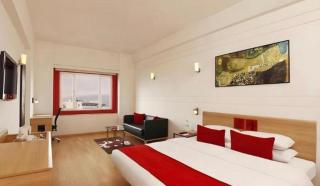 Hotel Red Plaza-Near Delhi Airport-Free Airport Drop - 9