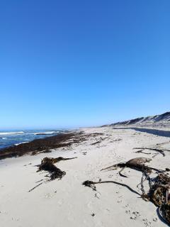 Malkop Sea View Resort - 6