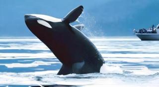 Coralworld Hotel - 2