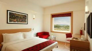 Hotel Red Plaza-Near Delhi Airport-Free Airport Drop - 6