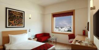 Hotel Red Plaza-Near Delhi Airport-Free Airport Drop - 5