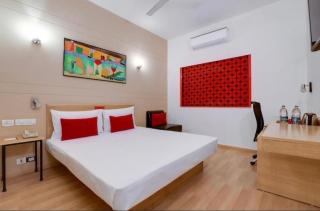 Hotel Red Plaza-Near Delhi Airport-Free Airport Drop - 2