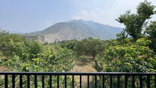 Katapathar Nature Resort - 3