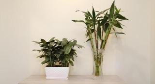 Beijing Yi Jia Hotel - 5