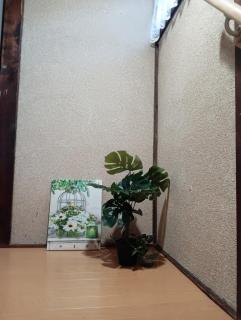 marusan houseマルさんの家 - 6