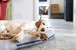 Küste33-42 - Loft Corner - 6