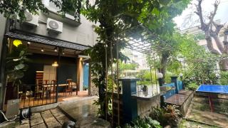 Lim Concept - Lim Parrot - 1