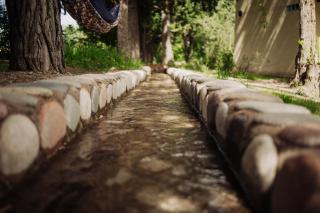 La Casita del Bosque - 3