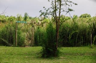 La Casita del Bosque - 2