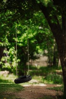 La Casita del Bosque - 6