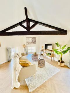 Ravissant Appartement Centre Historique Albi - 1