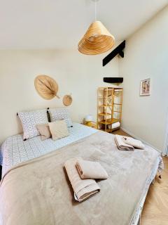 Ravissant Appartement Centre Historique Albi - 5