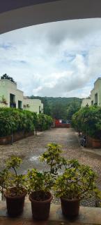 Peaceful Happy Home 2BHK with Patio, Pool in charming Siolim - 8