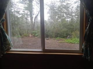 El Refugio del Chucao - 4