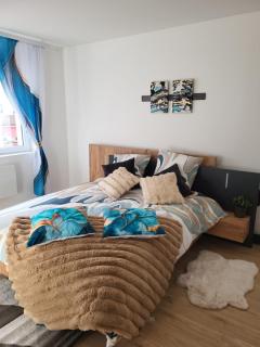 Chez Olivier wifi private parking Swiss border - 8