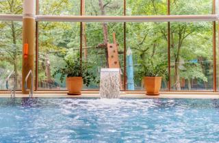 Hotel Dom Zdrojowy Resort & SPA - Destigo Hotels - 3