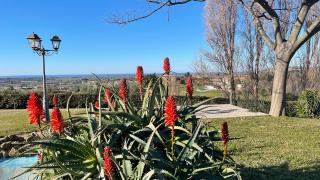 Villa La Giulia - Cerveteri - 6