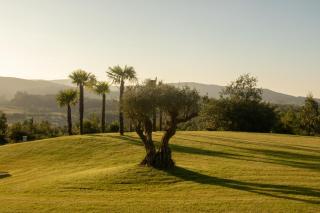 Apartamentos turísticos en la naturaleza - 5