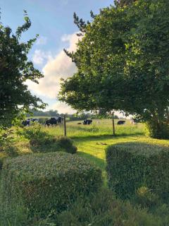 Maison de charme en Normandie - 6