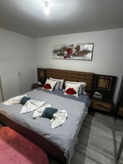 Appartement 3 pièce Strasbourg Ilkirch-Graffenstaden - 4