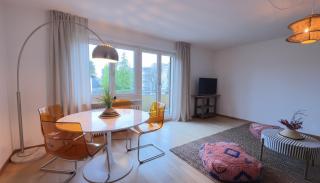 Modern Cozy Apartment near Zurich City & Netflix! - 7