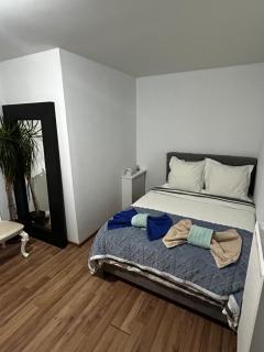 Apparemment 3 pièce Strasbourg Ilkirch graffenstaden - 1