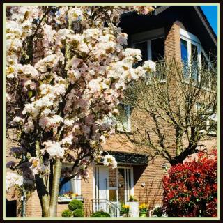 Top Ferienwohnung Raesfeld, Schlossnähe, zentral - 0