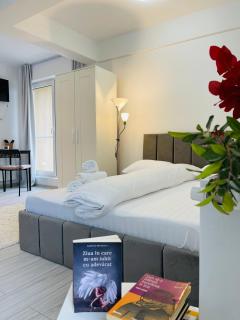 Studio Dumy near Airport - 7