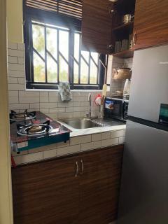 Purus accommodations - 7