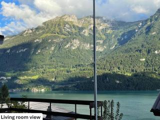 Breathtaking Lake & Mountain View Apartment - 6