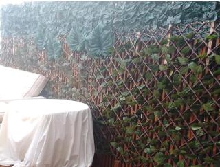 Estudio con terraza al mar - 7