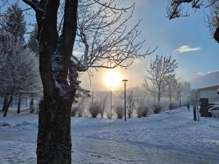 Appartement Wenger - 8