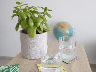 Le Clos de la Prairie 2 - New T2 Rambouillet centre - 2