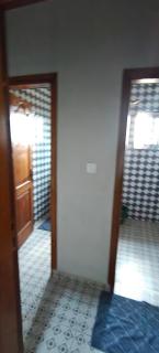 Purple Springs Elmina #1 - 8