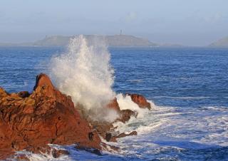 Escale sous le hêtre - 9