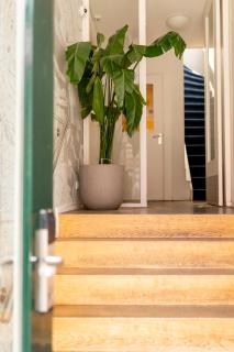 Hotel La Bohème - Ámsterdam - 9