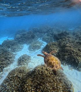 Sosun View Private Villa - 5