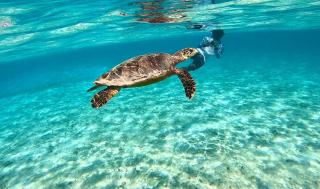 Sosun View Private Villa - 3