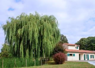 Grand Gîte Le Saule en Scie - 3 étoiles - Spa chauffé, 12 à 14 pers, jardin clos, 30 mn PuyduFou - 9