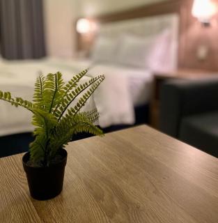 شقق عائلتي - My family's apartments - 7