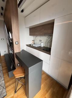 Mountain View Apartment - Vila Golija - 8